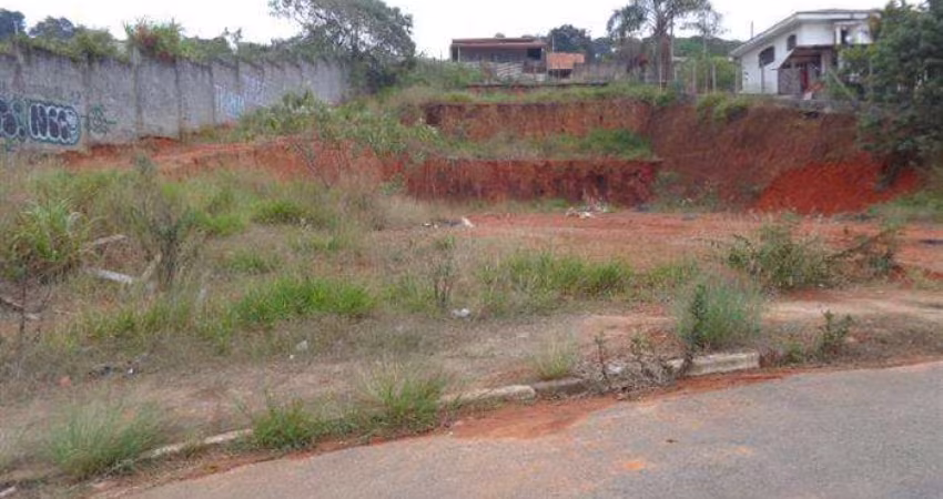 Terreno Industrial para Venda em Mairiporã, Terra Preta