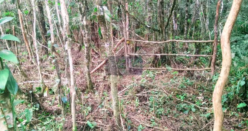 Terreno à venda no Balneário Gaivota, Itanhaém 