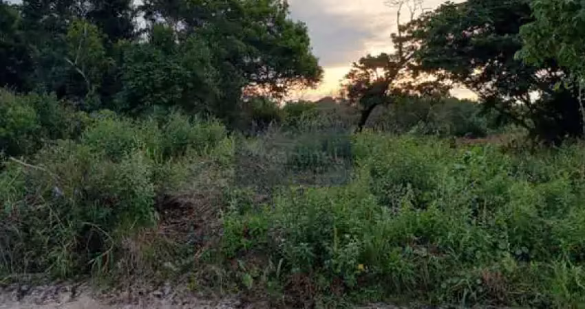 Espaço privilegiado de 300m² à venda em itanhaém-sp, no bairro grandesp!