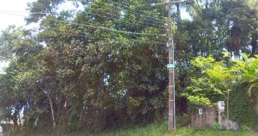 Terreno no Bairro Salto Norte em Blumenau com 1162 m²