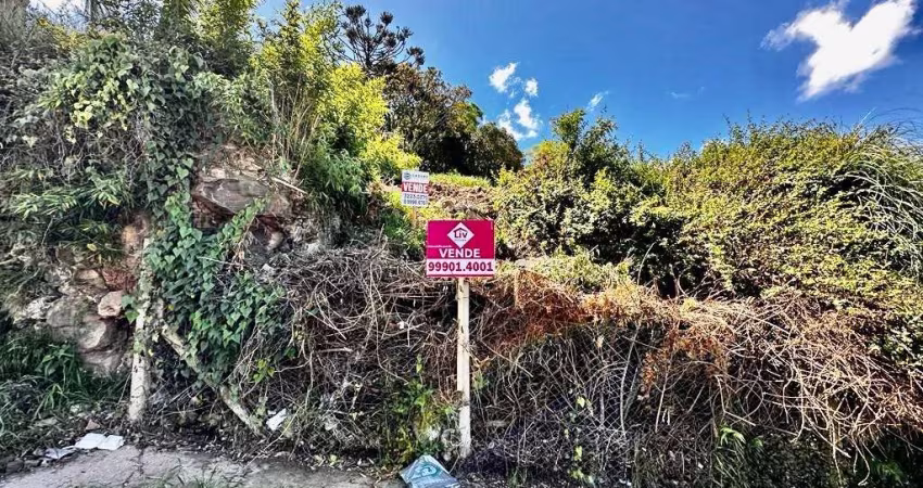 Terreno para Venda - 809.12m², 0 dormitórios, São José