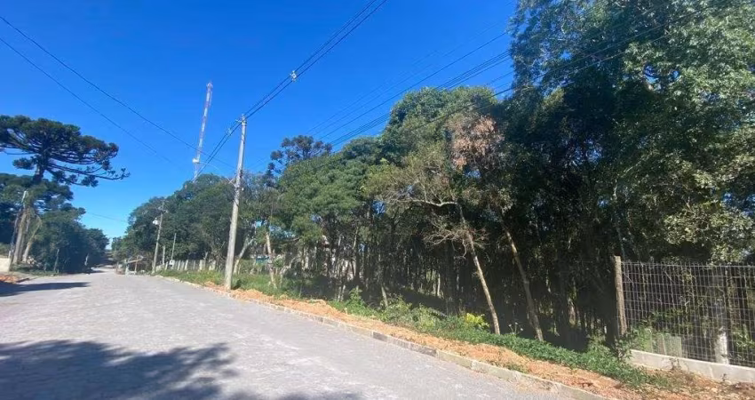Terreno à venda na Aquilino Ricardo Lenzi, 00, Nossa Senhora do Rosário, Caxias do Sul