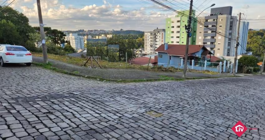 Terreno à venda na Alcides Ernesto Affonso, 600, Diamantino, Caxias do Sul