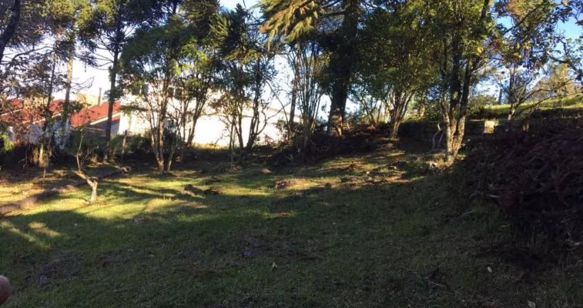 Terreno à venda na Rua Padre José Lorencini, 00, Ana Rech, Caxias do Sul