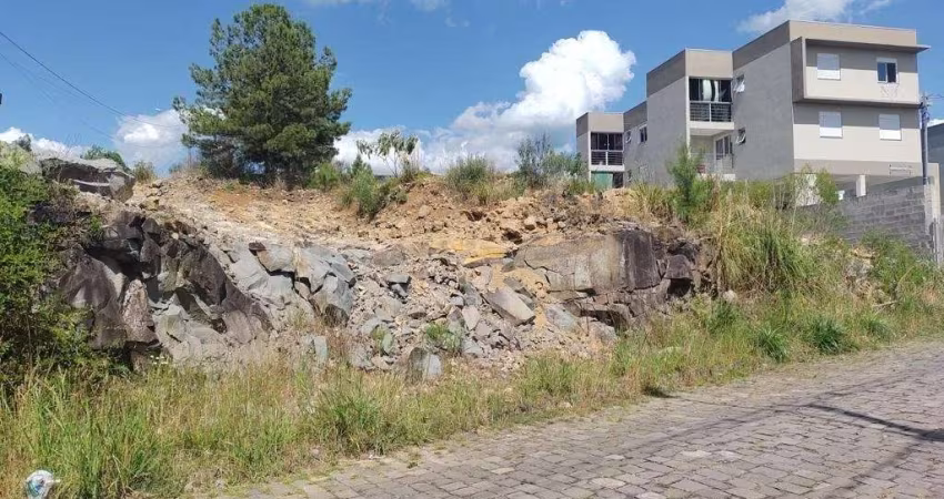 Terreno para Venda - 0m², 0 dormitórios, Nossa Senhora das Graças