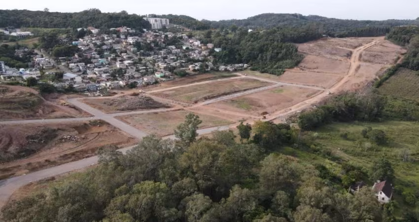 Terreno para Venda - 313.45m², 0 dormitórios, Nossa Senhora das Graças