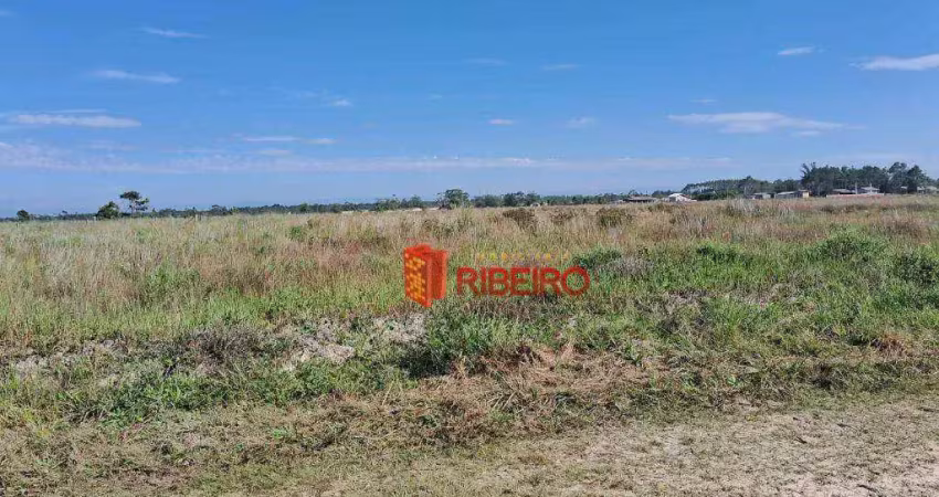 Terreno à venda, 300 m² por r$ 60.000,00 - centro - balneário arroio do silva/sc