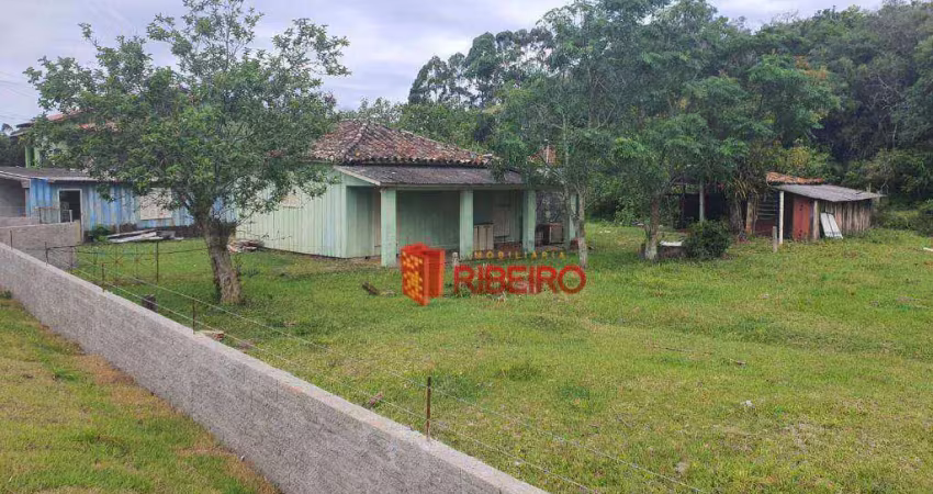 Terreno à venda, 5000 m² por r$ 425.000,00 - morro dos conventos - araranguá/sc