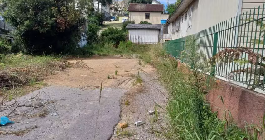 Terreno para venda,  bela vista, caxias do sul - te101306