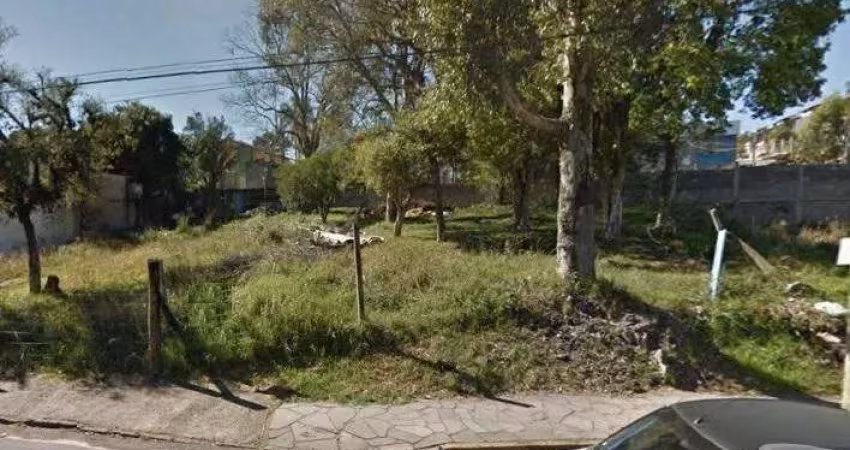 Terreno  para  Venda Bela Vista Caxias do Sul - PE00927
