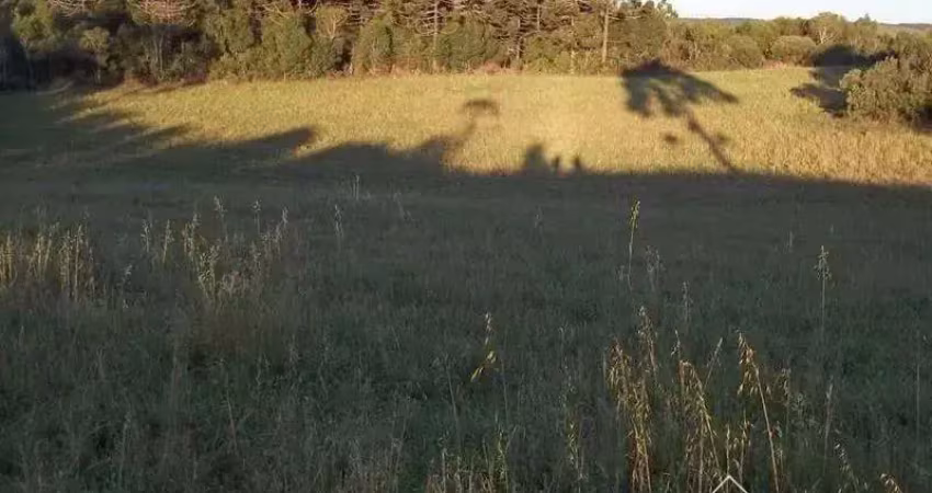 Chácara  para  venda vila oliva caxias do sul - cooo100037