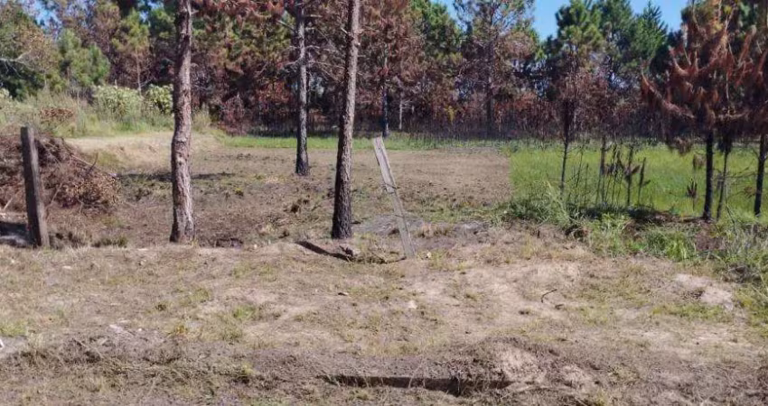 Terreno à venda na Avenida Paraguassu, 4115, Capão Novo, Capão da Canoa