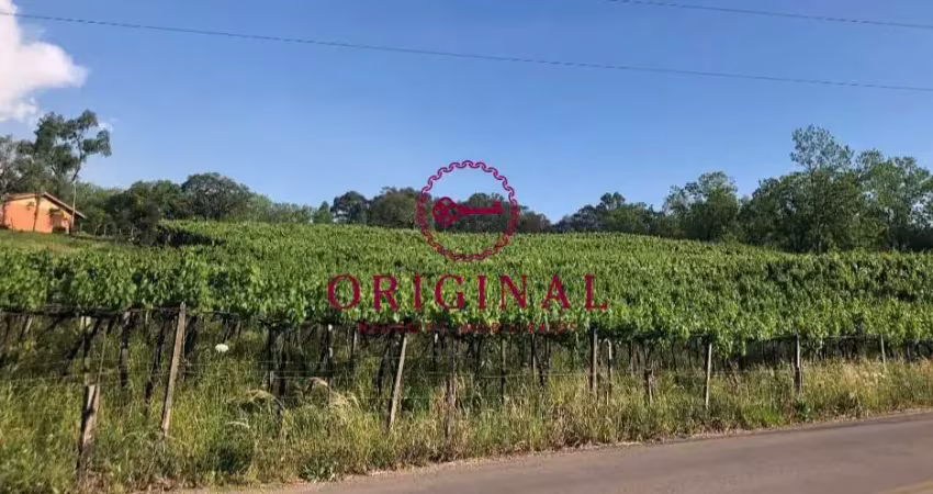 Terreno à venda na Estrada Municipal Valentino Venturin, 3460, Monte Bérico, Caxias do Sul