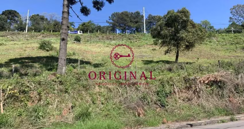 Terreno à venda na Estrada do Imigrante, Nossa Senhora das Graças, Caxias do Sul