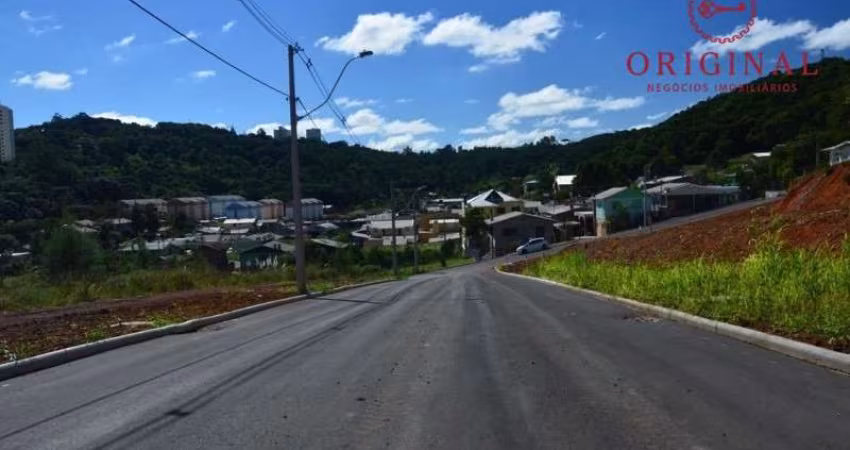 Terreno à venda na Rua Amélia Pinguella Bonatto, 248, São Luiz, Caxias do Sul