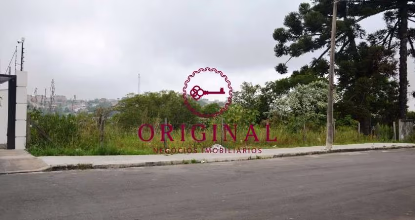 Terreno à venda na Rua Laurindo Pan, 00, Vila Verde, Caxias do Sul