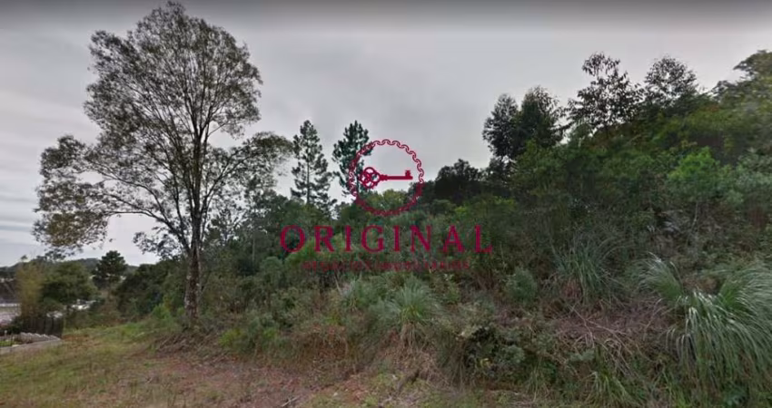 Terreno à venda na Asti, 300, São Gotardo (Distrito), Flores da Cunha