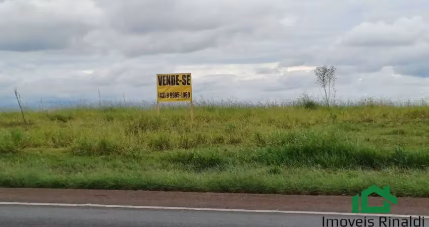 Área industrial, 3.724 alqueires, frente para rodovia 369, rolandia