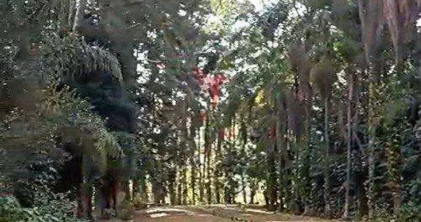 Sítio em mairiporã com 5  casas grandes, 19600 mts² , todo cercado, água e poço