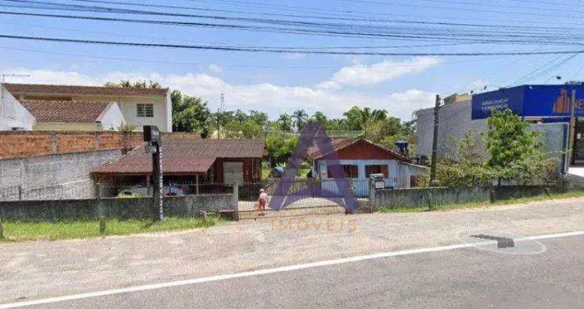 Terreno comercial à venda na Rodovia Francisco Magno Vieira, Campeche, Florianópolis