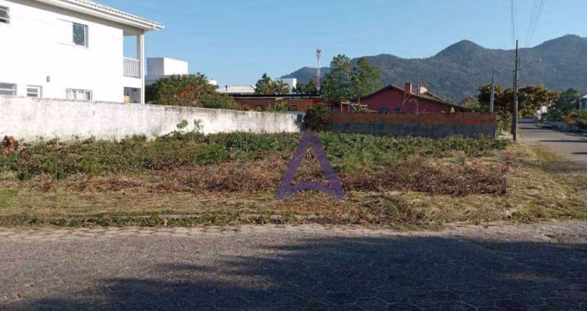 Terreno à venda, 550 m² por R$ 1.400.000,00 - Pântano do Sul - Florianópolis/SC