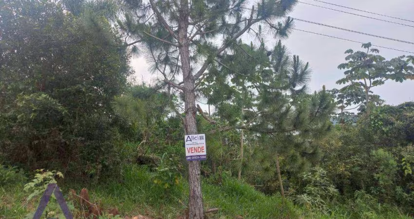 Terreno à venda, 444 m² por R$ 450.000,00 - Ribeirão da Ilha - Florianópolis/SC