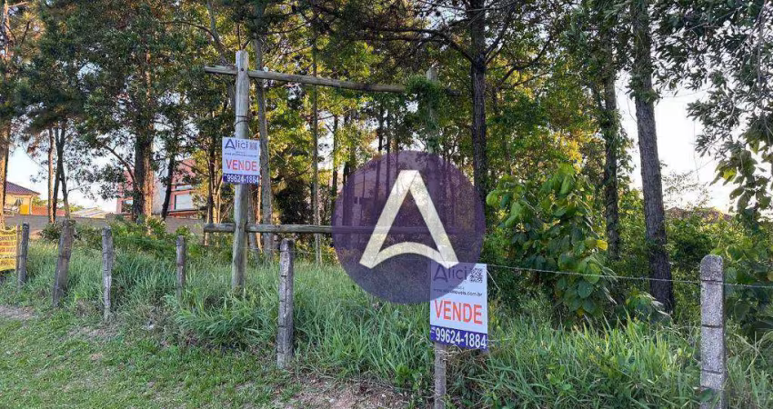Terreno à venda, 1000 m² por R$ 3.250.000,00 - Campeche - Florianópolis/SC