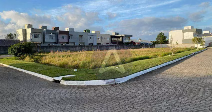 Terreno à venda, 394 m² por r$ 1.050.000,00 - campeche - florianópolis/sc