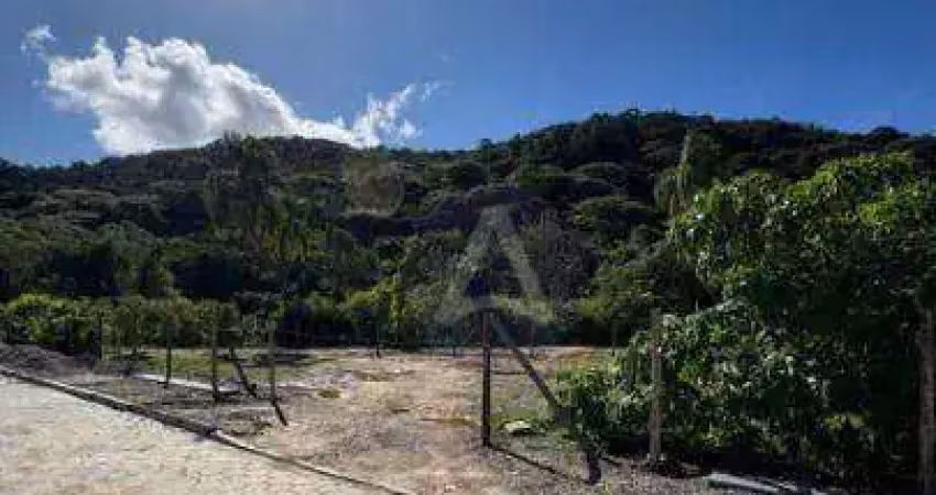 Terreno à venda, 388 m² por r$ 500.000,00 - rio tavares - florianópolis/sc