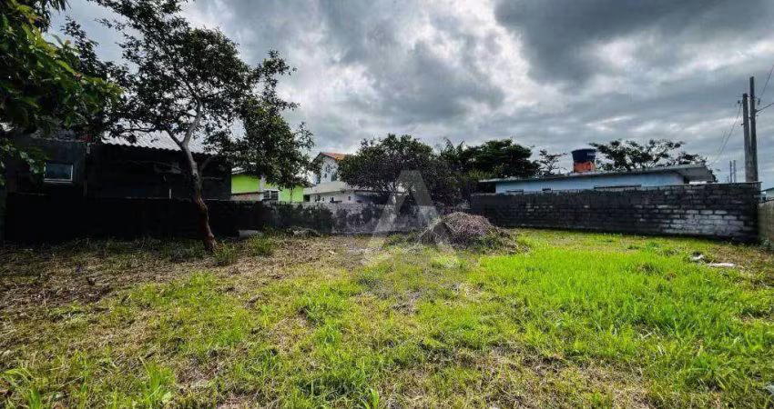 Terreno à venda, 257 m² por r$ 330.000,00 - tapera - florianópolis/sc