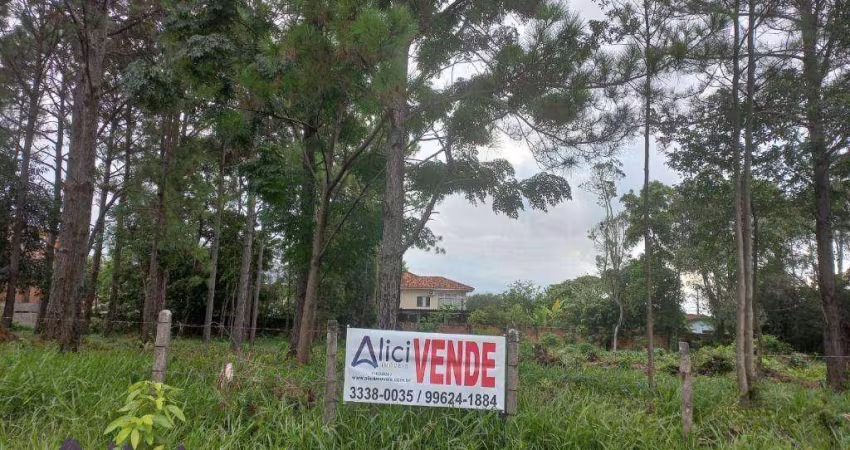 Terreno à venda, 2000 m² por R$ 6.500.000,00 - Campeche - Florianópolis/SC