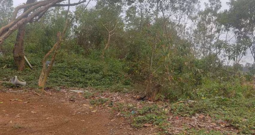 Terreno à venda, 3000 m² por R$ 150.000,00 - Cidade Nova Bonsucesso - Guarulhos/SP