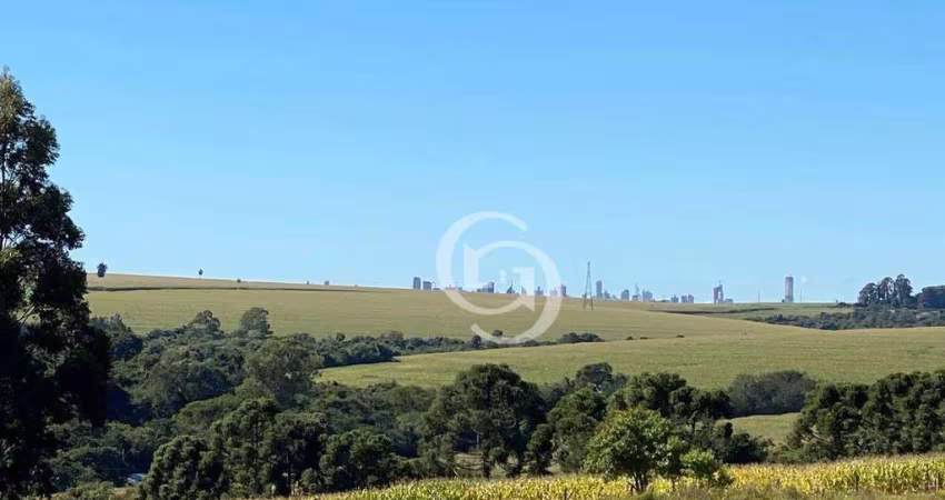 Chácara com 8 dormitórios à venda, 48000 m² por R$ 7.000.000 - Rural - Santa Tereza do Oeste/PR