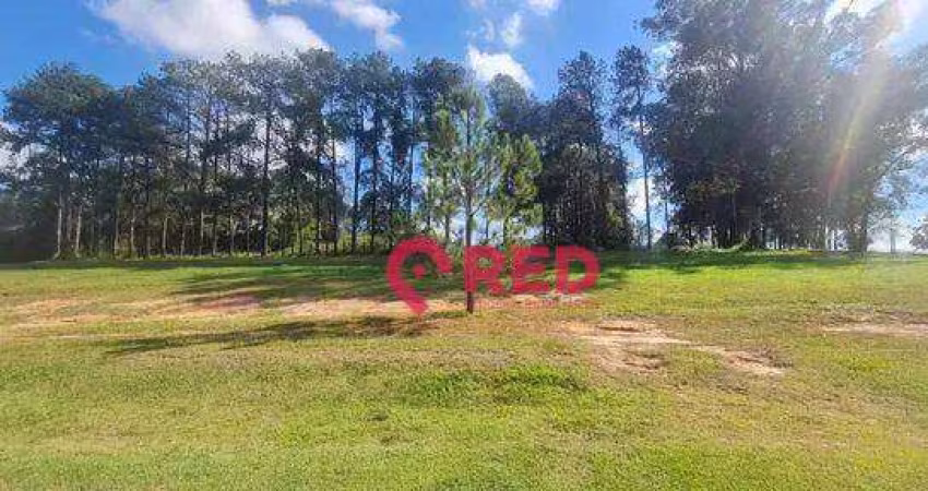 Terreno à venda, 614 m² por R$ 650.000,00 - Condomínio Alphaville Castello - Itu/SP