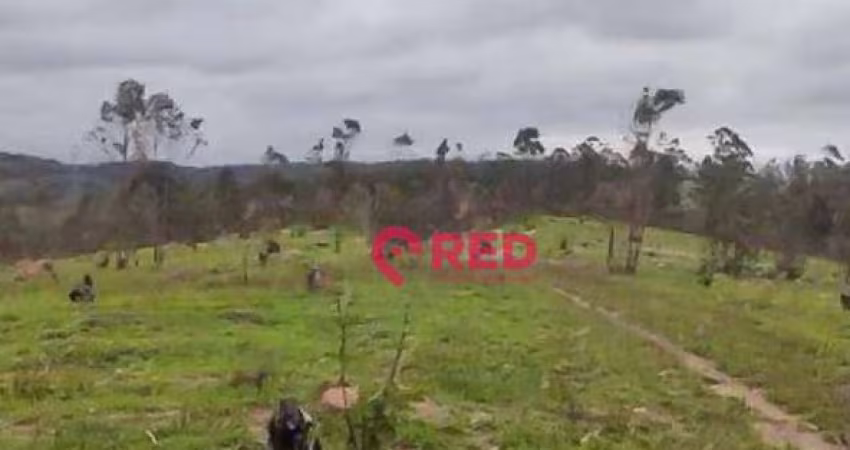 Área à venda, 52000 m² por R$ 3.000.000,00 - Zona Rural - Louveira/SP