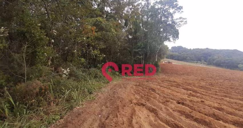 Terreno à venda, 98000 m² por R$ 550.000,00 - Piedade - Piedade/SP