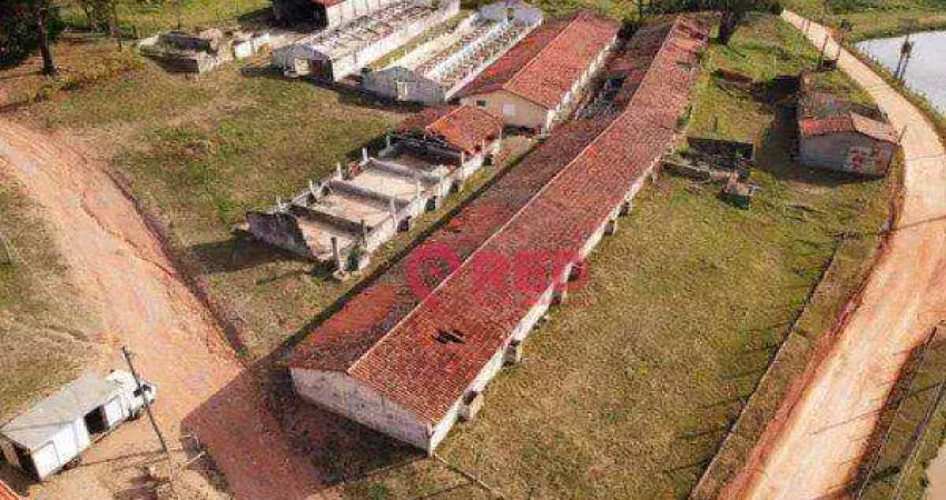 Chácara com 7 dormitórios à venda, 16000 m² por r$ 3.500.000,00 - jardim paraíso ii - itu/sp