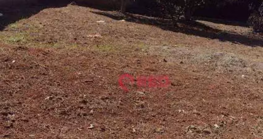 Terreno à venda, 1609 m² por r$ 1.200.000,00 - jardim novo horizonte - sorocaba/sp