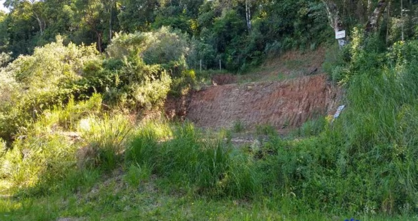 Terreno à venda no São Luiz da Sexta Légua, Caxias do Sul 
