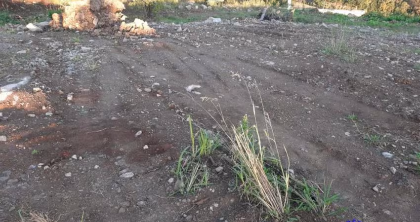 Terreno à venda no Monte Bérico, Caxias do Sul 