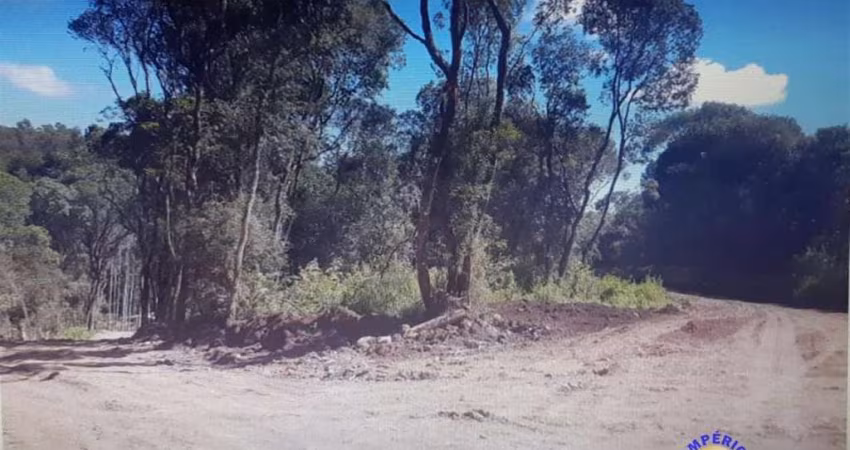 Chácara / sítio à venda na Zona Rural, Farroupilha 