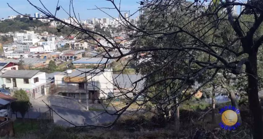 Imperio imoveis vende excelente terreno no bairro fátima com 2590m²