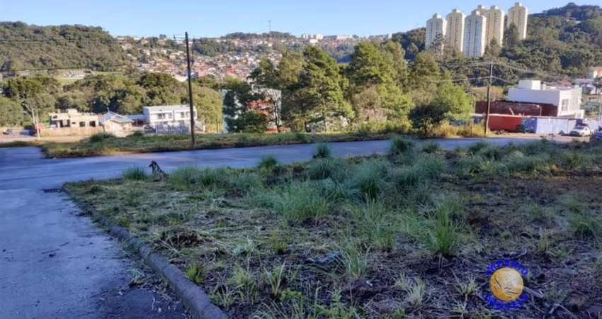 Terreno à venda no São Luiz da Sexta Légua, Caxias do Sul 