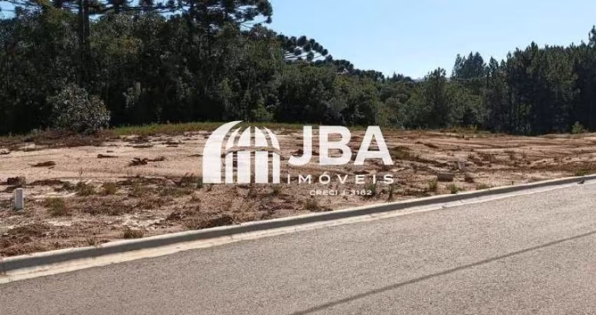 Terreno à venda na Rua Pedro Câmbio Cortiano, 60, Jardim Orestes Thá, Quatro Barras