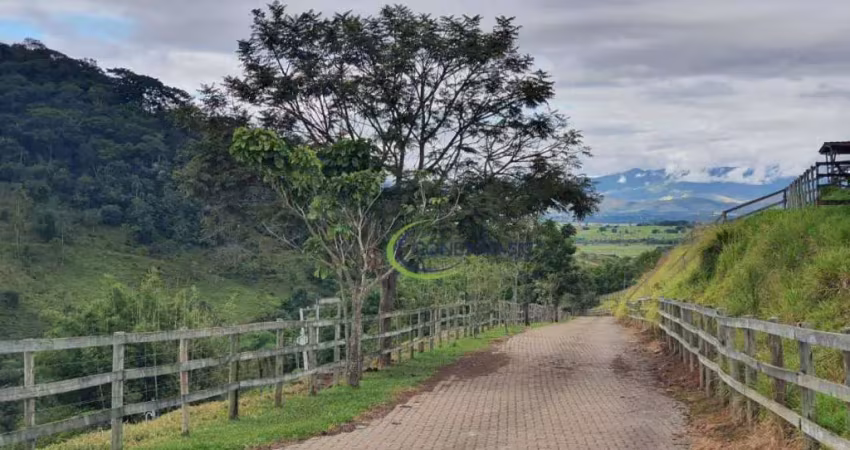 Anuncia esse Sitio  12 Alqueires Fica aqui em Pinda . Ribeirao Grande    Graminha