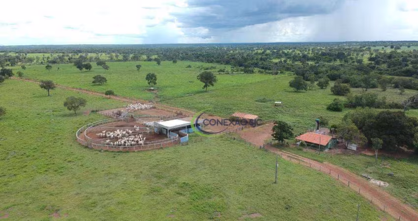 Fazenda com 4 dormitórios à venda, 160058800 m² por R$ 200.000.000,00 - Centro - Bonópolis/GO