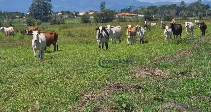 Fazenda  40 alqueres sendo  7 dormitórios à venda, 968000 m² por r$ 12.000.000 - triângulo - pindamonhangaba/sp