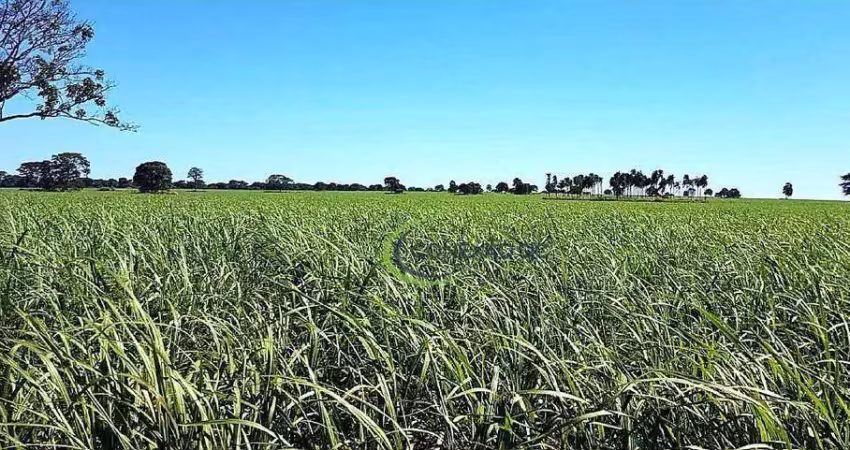 Fazenda à venda, 11616000 m² por r$ 57.000.000,00 - alexandrina - quirinópolis/go