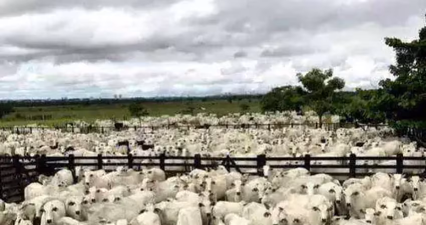 Fazenda com 3 dormitórios à venda, 10860000 m² por r$ 230.000.000,00 - santana - são josé dos campos/sp