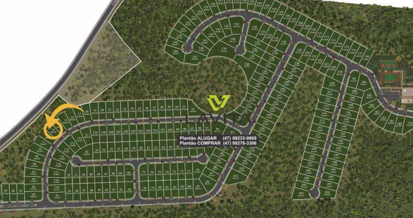 Terreno à venda, 385 m² por R$ 295.000,00 - Ponta Aguda - Blumenau/SC